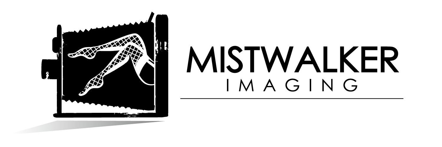 Mistwalker Imaging banner