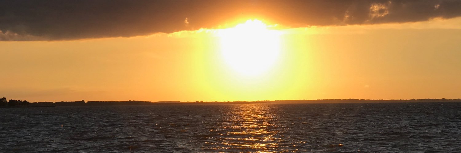 N_Volt's profile banner image