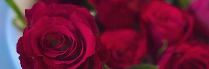 Haams947's profile banner image