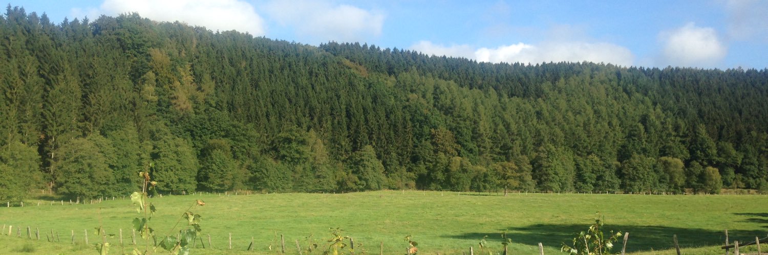 HiMeros 🇧🇪 banner