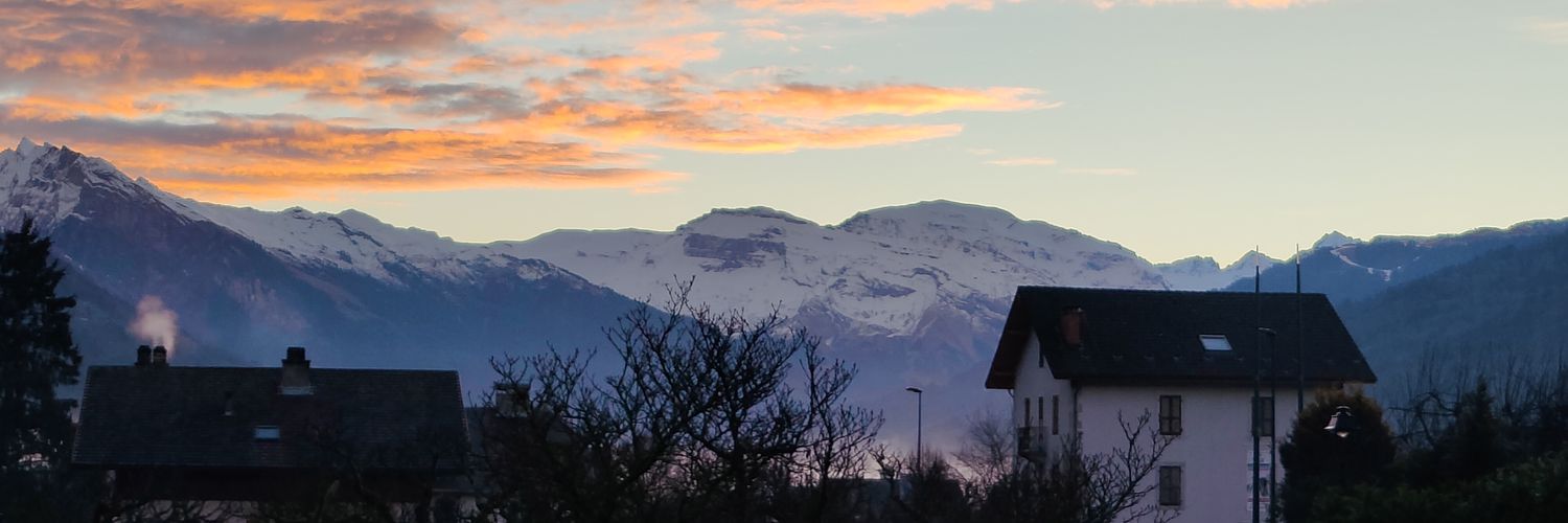 andelina jolie 🏳️‍⚧️ banner