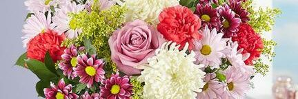 Milica Turnic banner