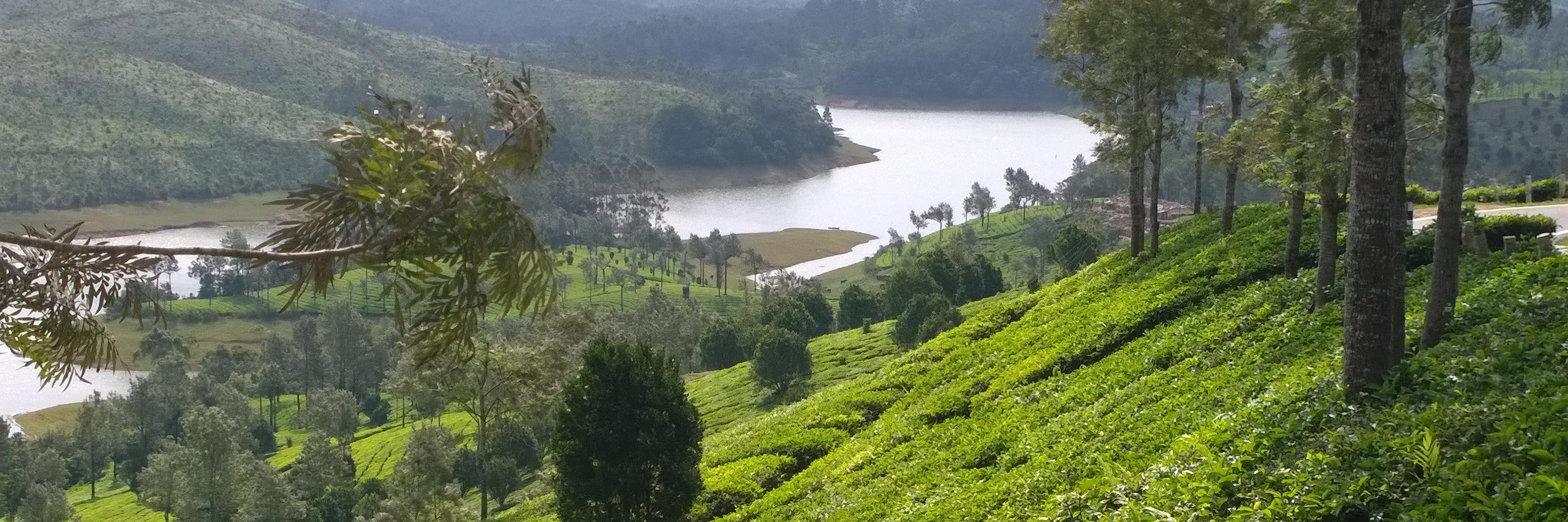 BEAMS Consultants UK banner