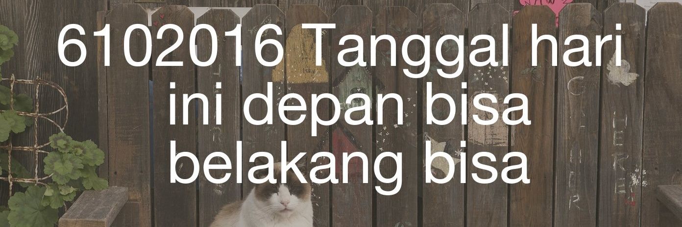 Intan Sari banner