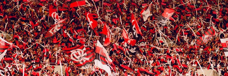 MFernandesCRF's profile banner image
