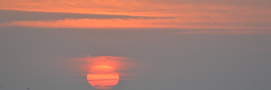 fraser mcconnell banner