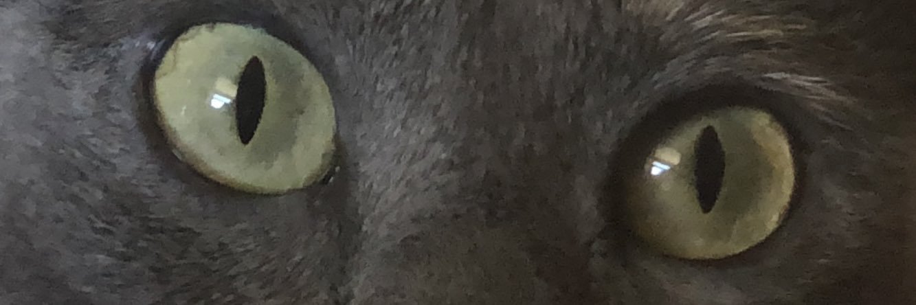 lMariaGuerrero's profile banner image