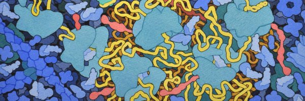 UsmanEnam Profile Banner