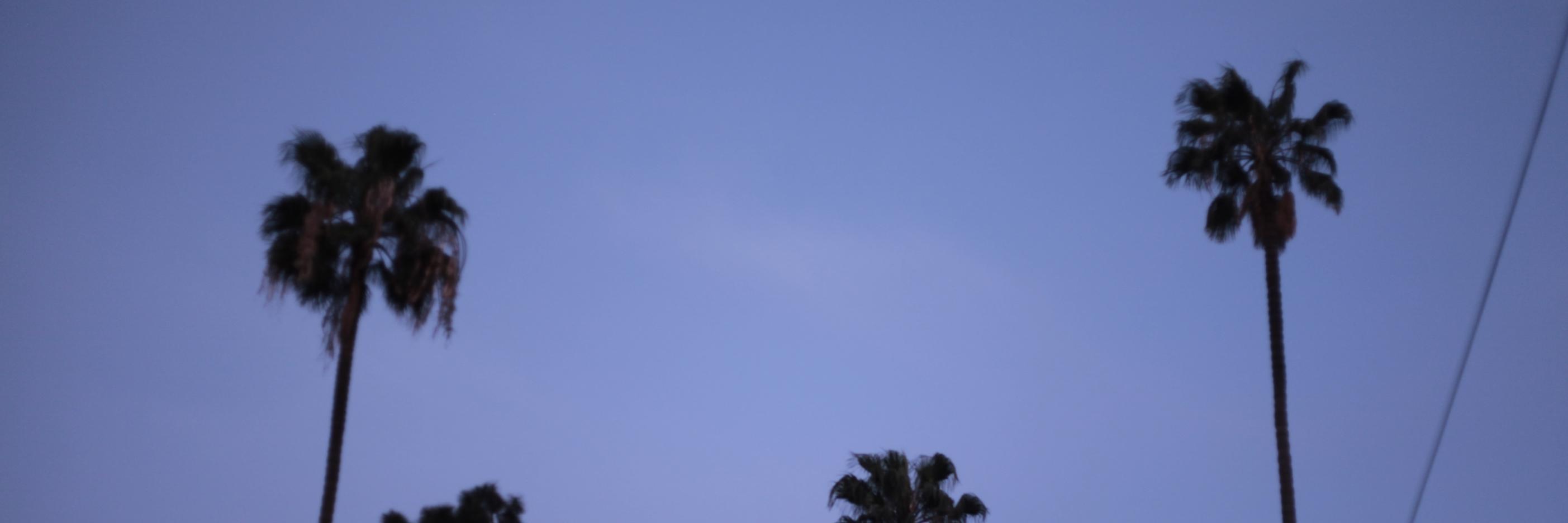 WrightMeredith's profile banner image