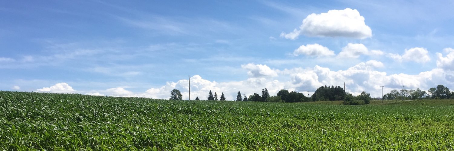 ColleenMCole's profile banner image