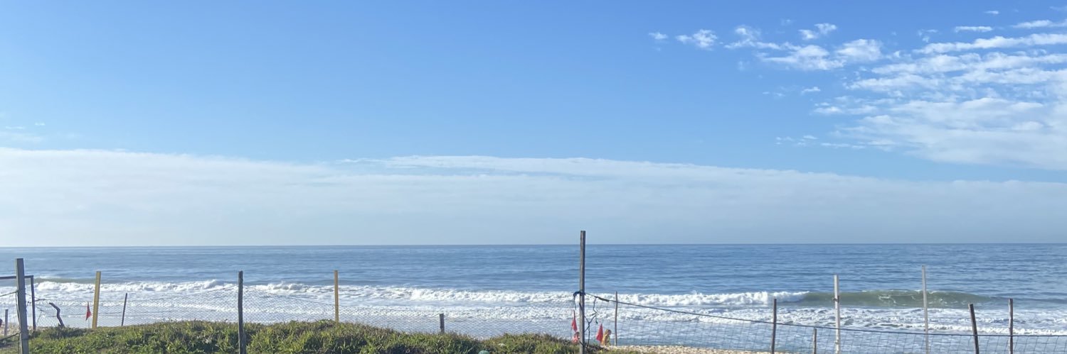 Raphael Monteiro banner