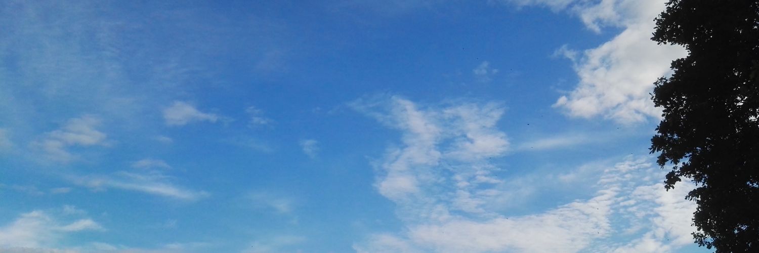 iWampy's profile banner image