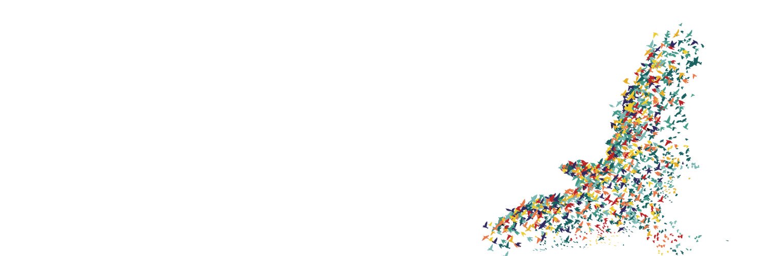 Sinan Yaman banner
