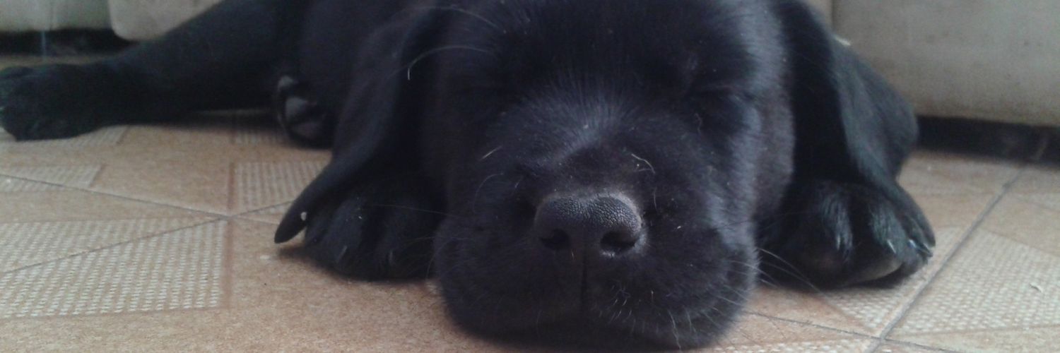 agusprosty's profile banner image