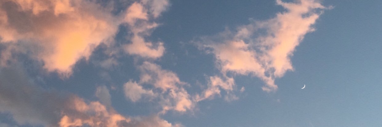 anlpz09's profile banner image