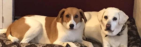 vguzmi Profile Banner