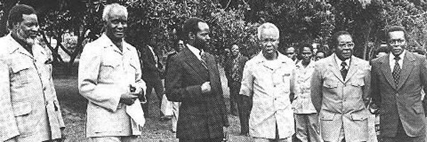 MimiReeds Profile Banner