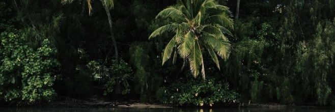 AfroGypsyOracle's profile banner image