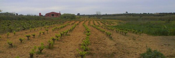 GarayBasante Profile Banner