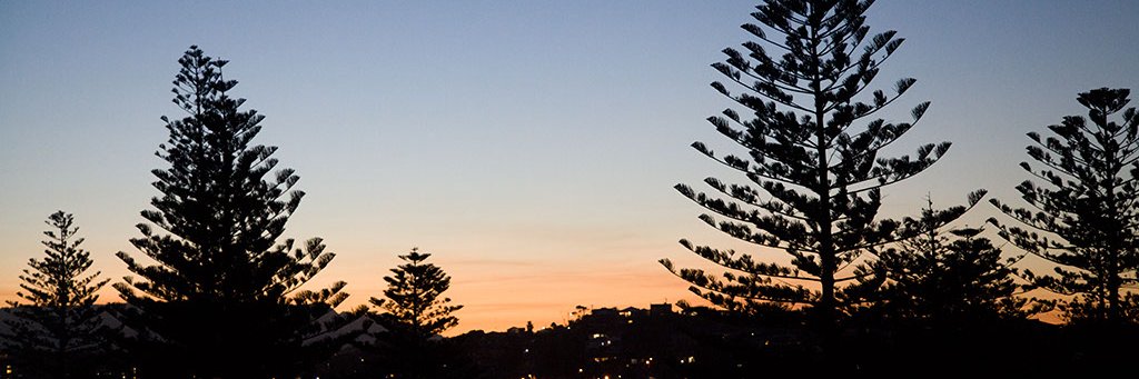 Anna_DSouza's profile banner image
