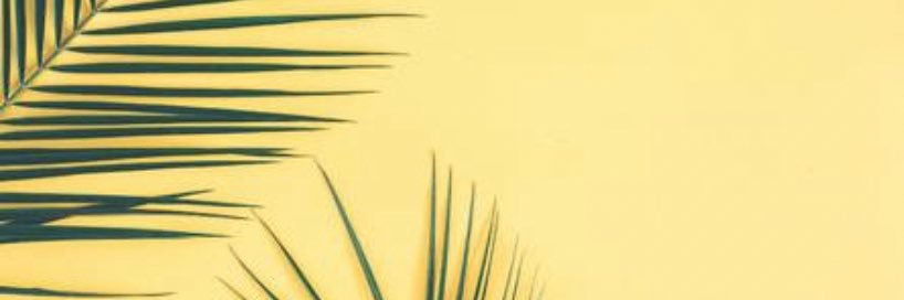 __tostos's profile banner image