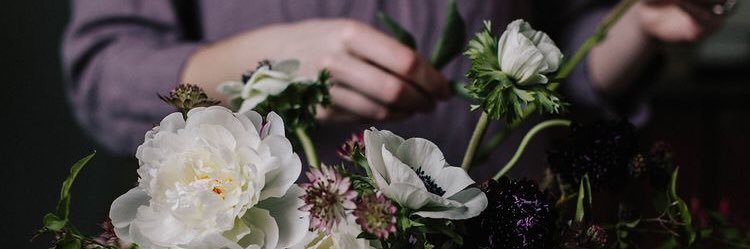 RanO7141's profile banner image