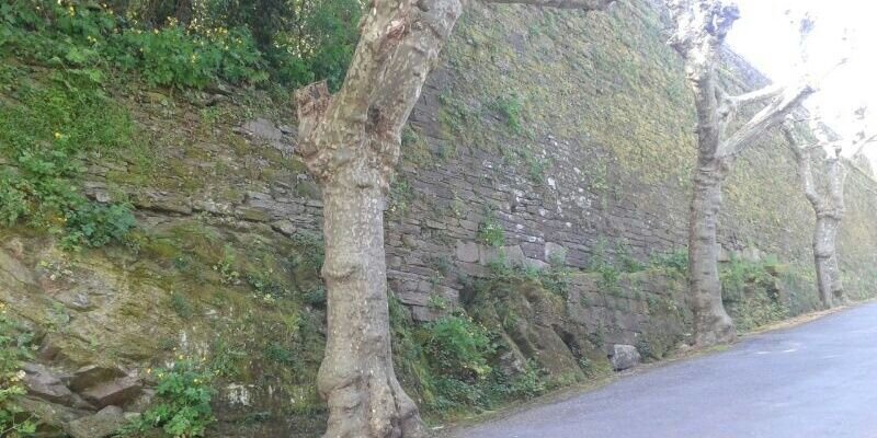 mjocascar's profile banner image