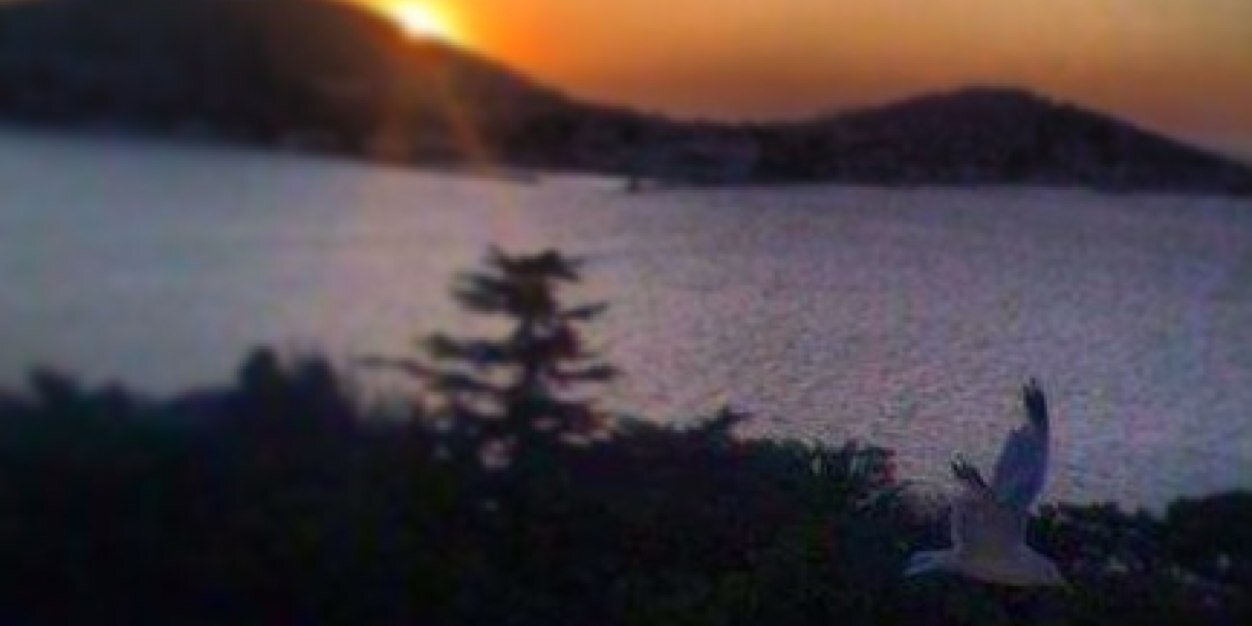 SonaGenjelli's profile banner image