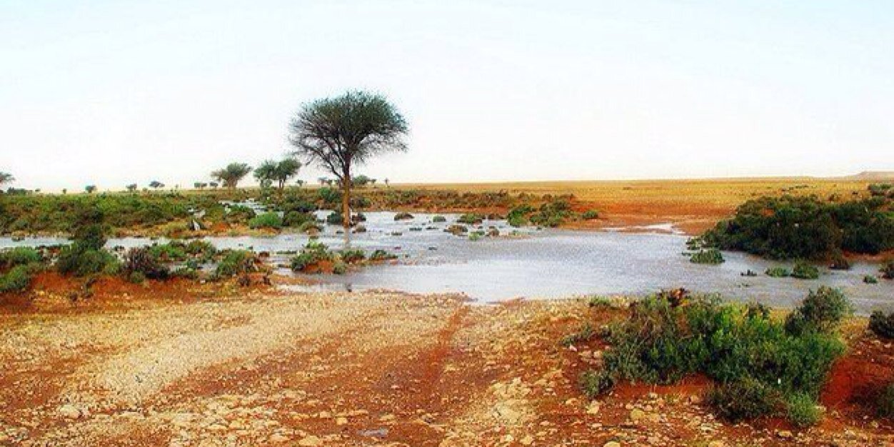 lhelam's profile banner image