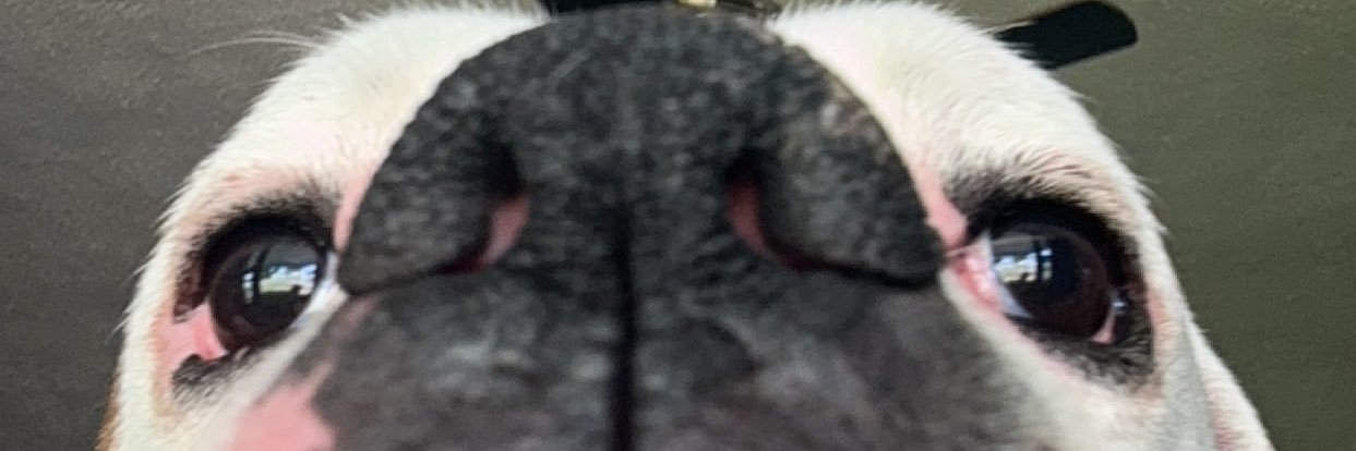 KeraHiles_'s profile banner image