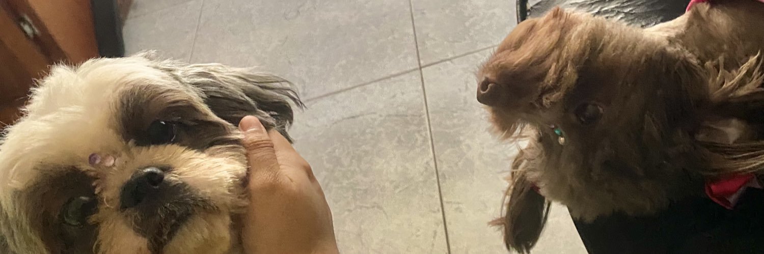 _LMartinez17's profile banner image