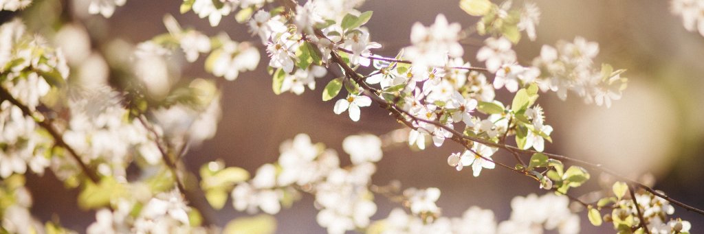 liamariaagnes's profile banner image