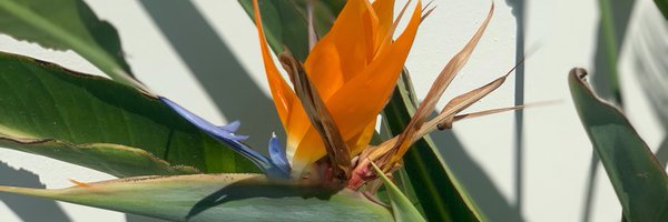 LRbySDM Profile Banner