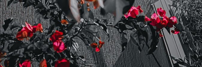 _1n91's profile banner image