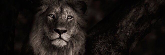 leeekk96's profile banner image