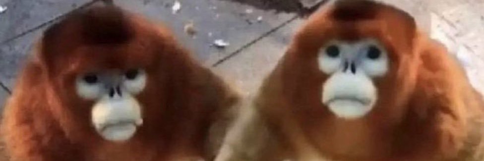 hobblefiend's profile banner image