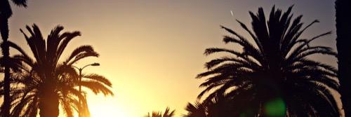 Sheikh_Rimsha's profile banner image