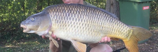 2010_west Profile Banner