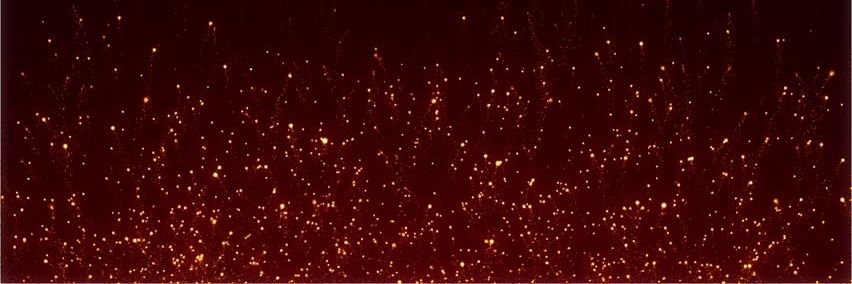 tr_is_h's profile banner image