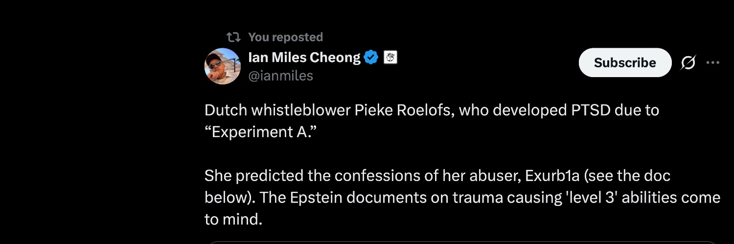 Pieke Roelofs 🥧 banner