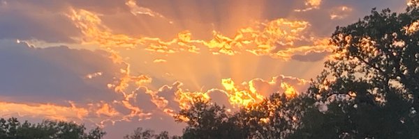 strengthpfiz Profile Banner