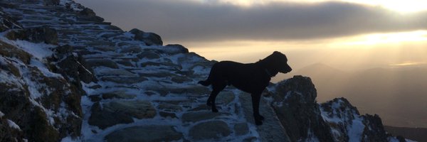 MissLDenton Profile Banner