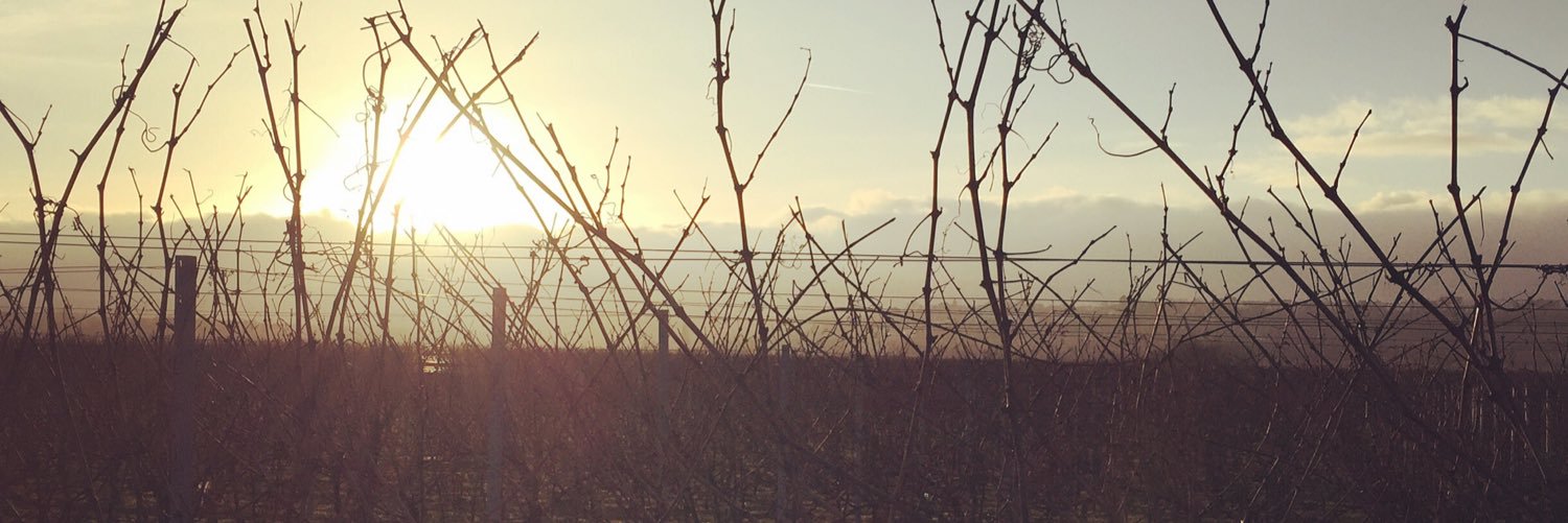 Tdoep's profile banner image