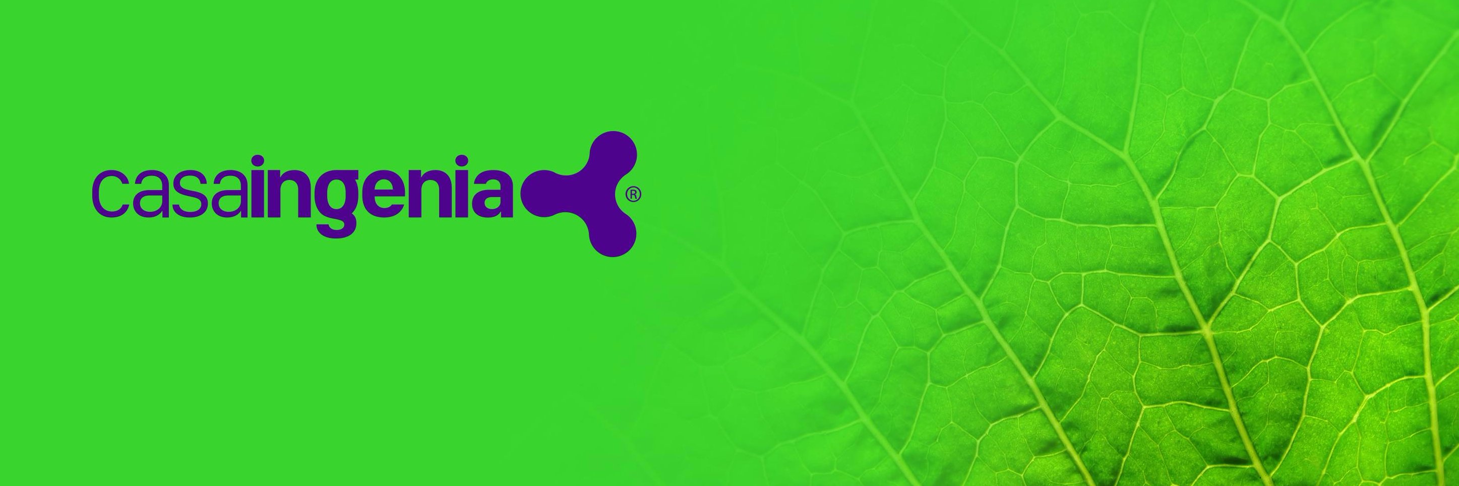 casaingenia's profile banner image
