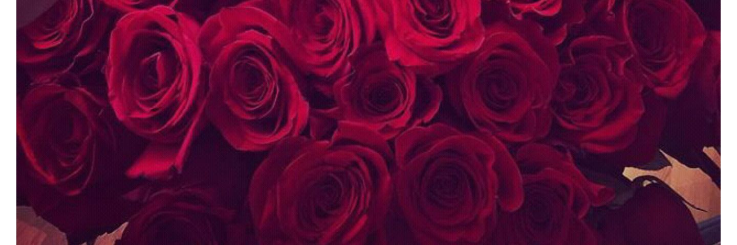 Pin5K's profile banner image