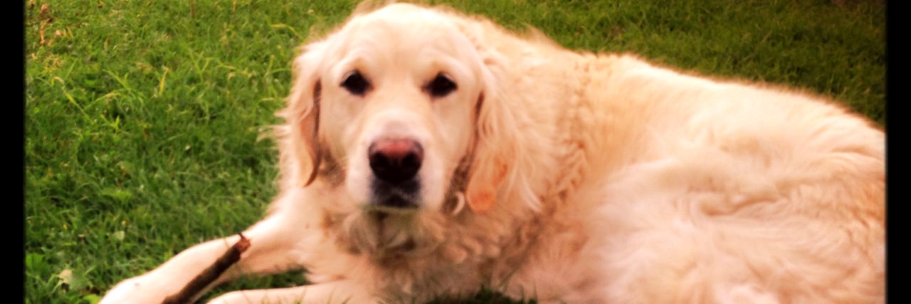 ciaraf1986's profile banner image