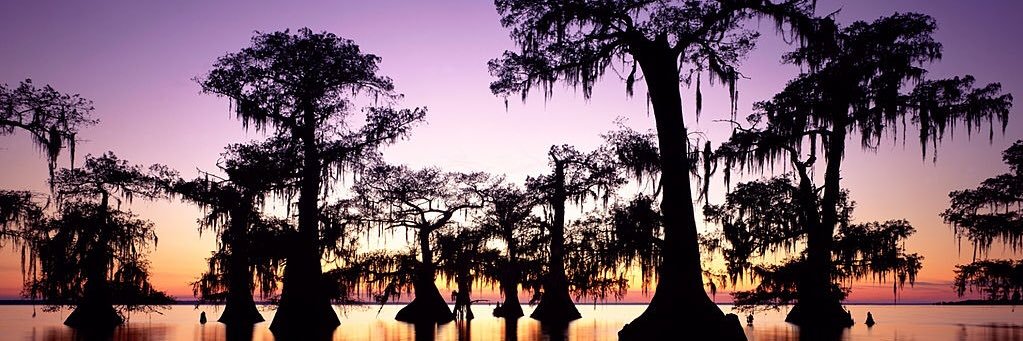 Mrs_B_Teach's profile banner image