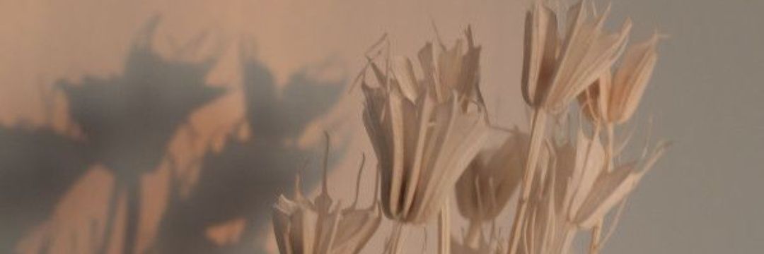 inespartida654's profile banner image