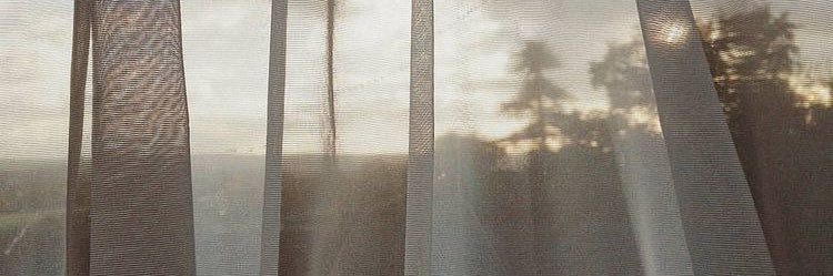 everlynhoo_ banner