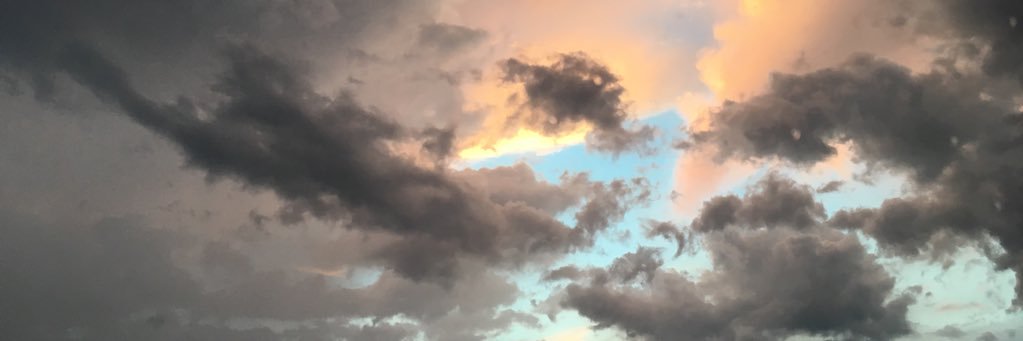 TinaShively's profile banner image
